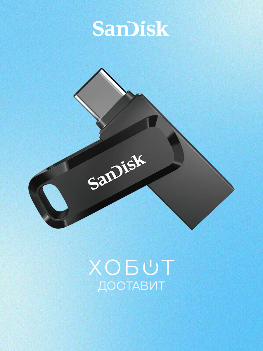 USB Flash drive SanDisk Ultra Dual Drive Go 256 ГБ (SDDDC3-256G-G46)