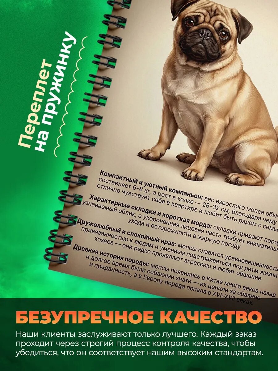Тетрадь - А5 - Мопс — фото 1