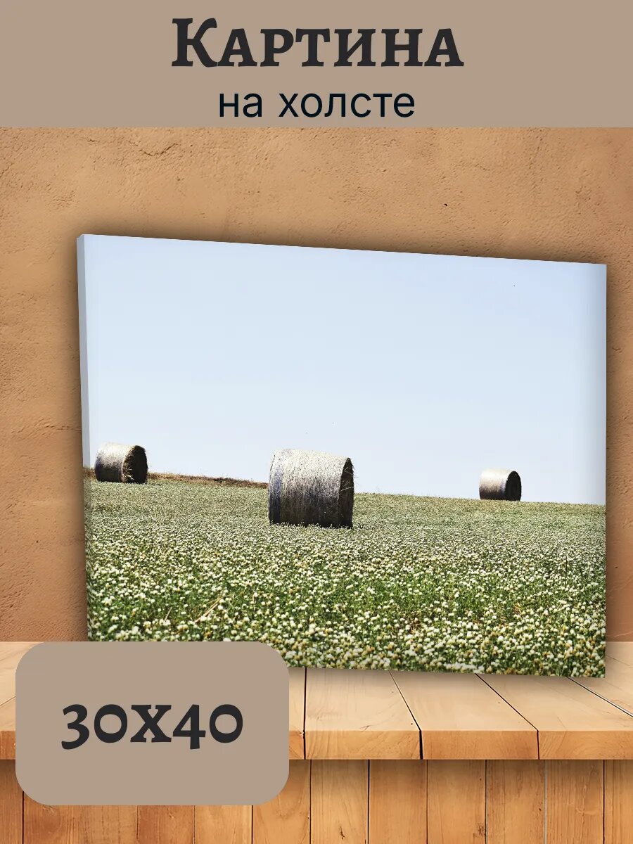 Картина Италия Italy 30x40 сельский пейзаж с тюками