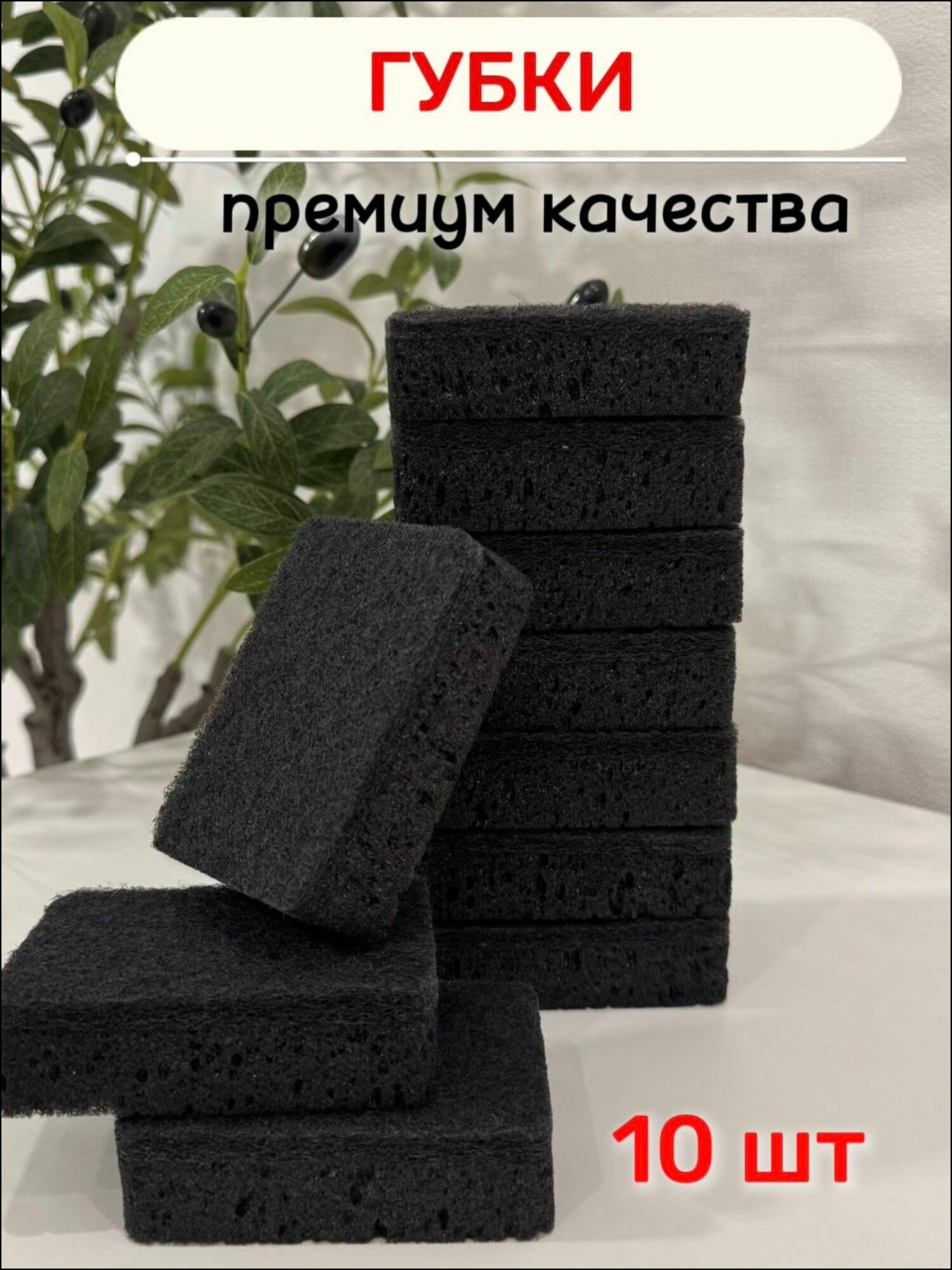 Губка