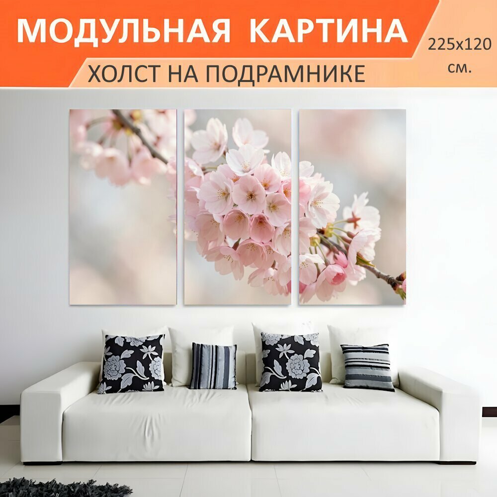 Модульная картина на холсте "Розовые цветы сакуры на ветке. Нежные весенние соцветия на тонкой ветви, мягкий размытый фон, пастельные." триптих на подрамнике 225х120 см. для интерьера