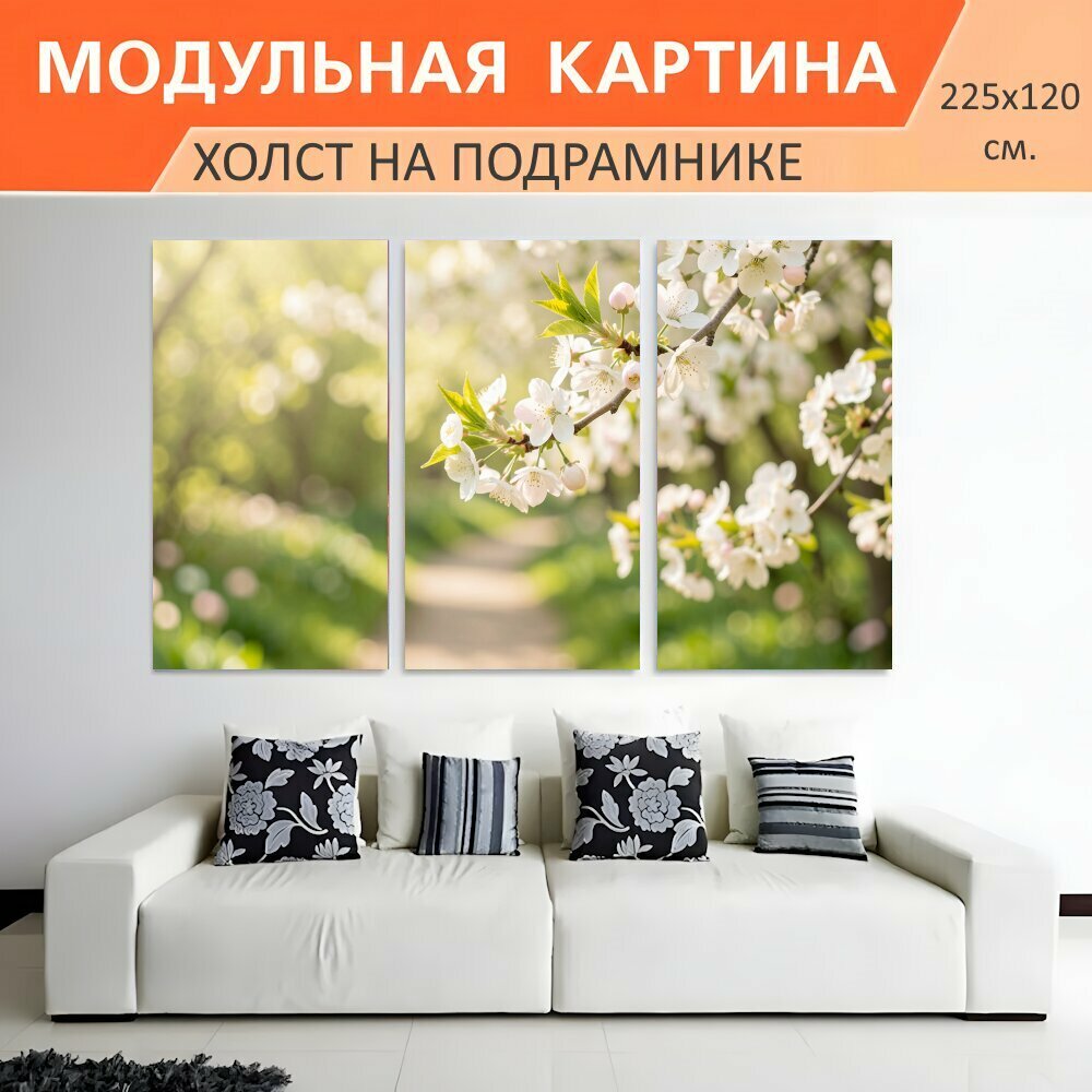 Модульная картина на холсте "Цветущая весенняя ветвь. Нежные белые цветы на ветках с молодыми зелёными листьями, мягкий солнечный." триптих на подрамнике 225х120 см. для интерьера