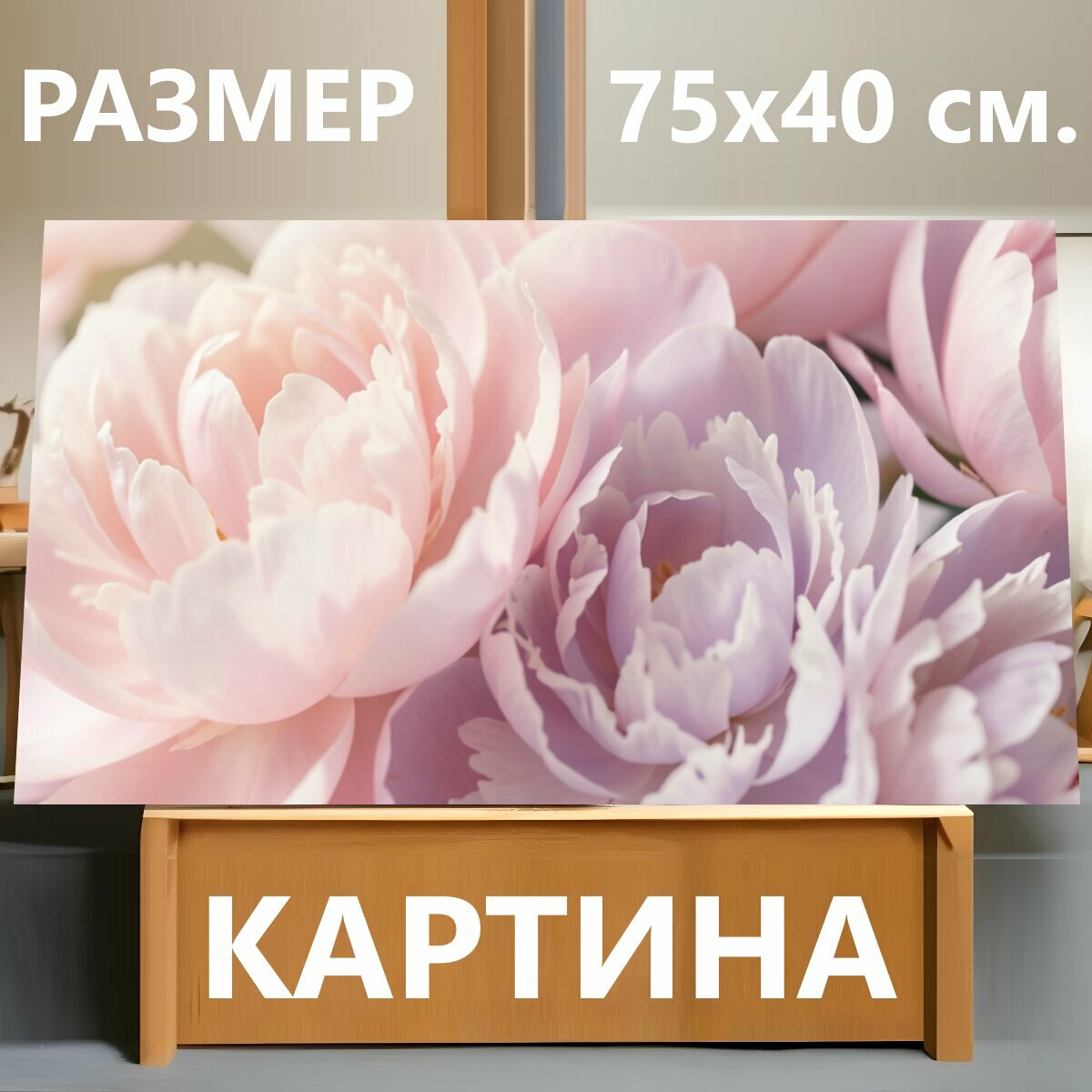 Картина на холсте "Нежные розовые цветы в свете. Макросъемка пышных бутонов с мягкими лепестками в пастельной гамме, светло-розовые и сиреневые." на подрамнике 75х40 см. для интерьера