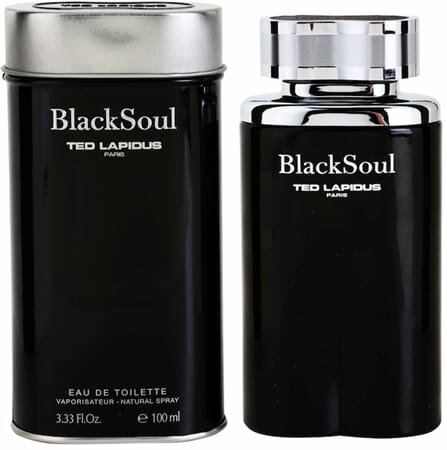 Туалетная вода ted lapidus black soul, 100 мл