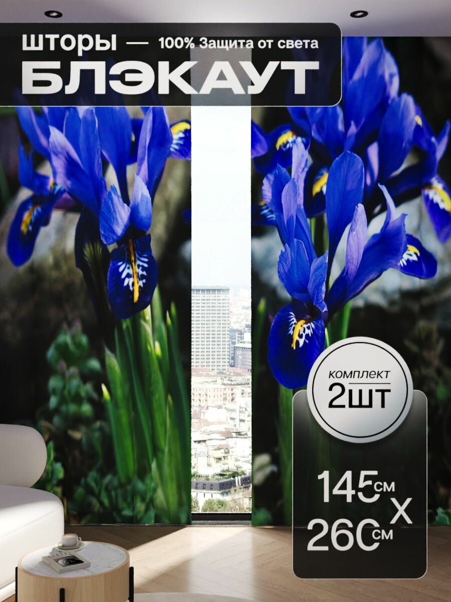 Шторы блэкаут 145x260 см 2 шт на окна плотные комплект