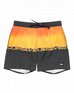 Шорты Quiksilver