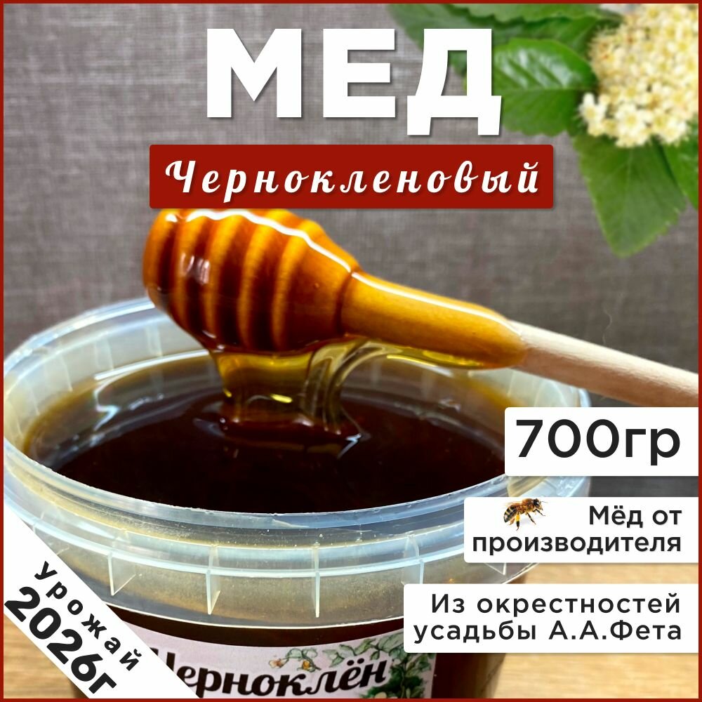 Мед черноклен 700 грамм Новый урожай 2026 г