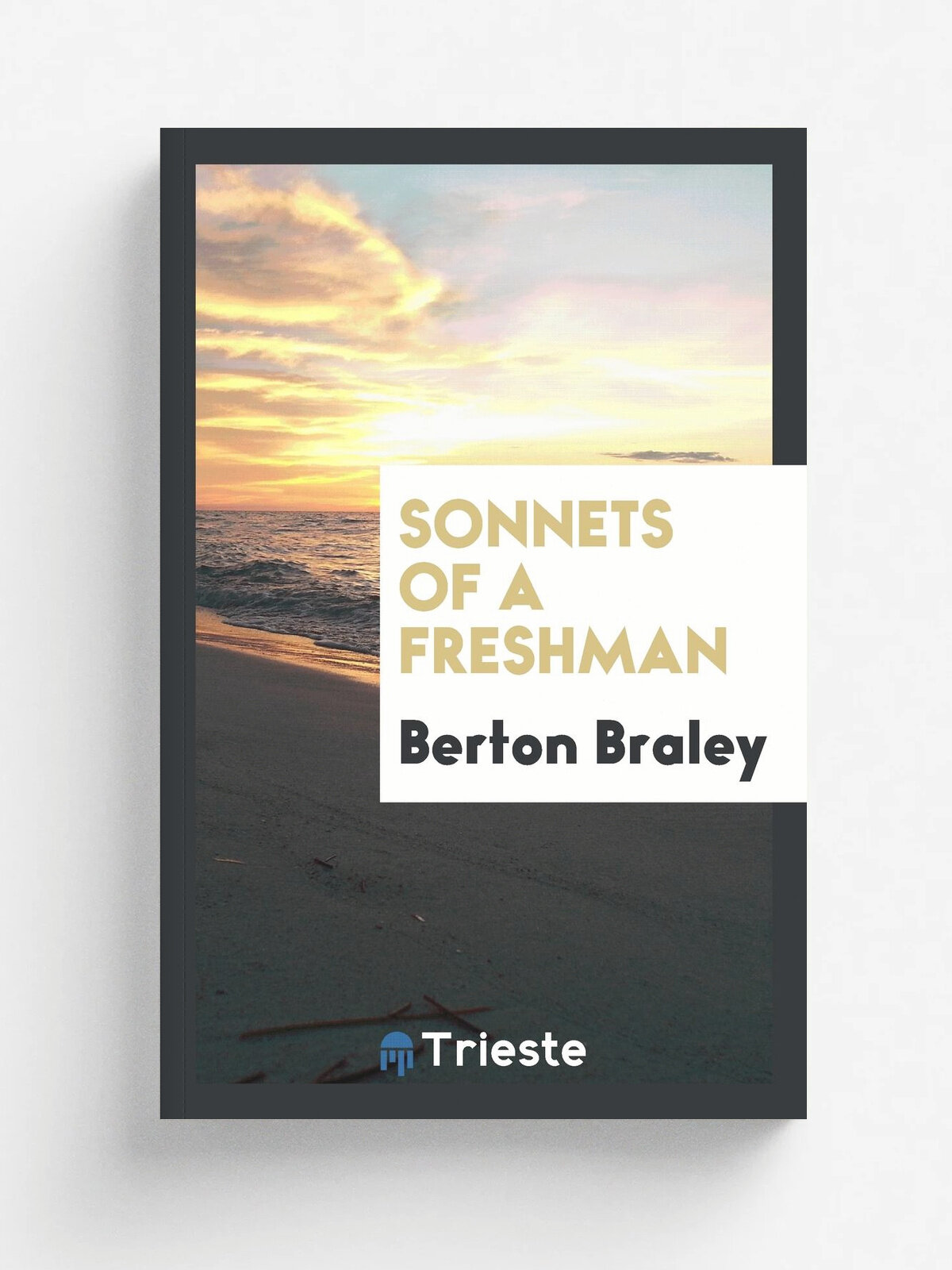 Sonnets of a Freshman