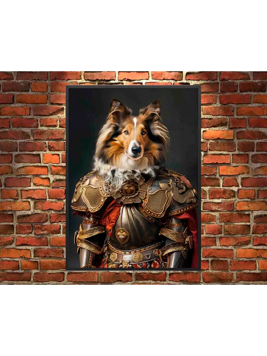 Шотландский колли Рыцарь 4, Плакат 30x42см