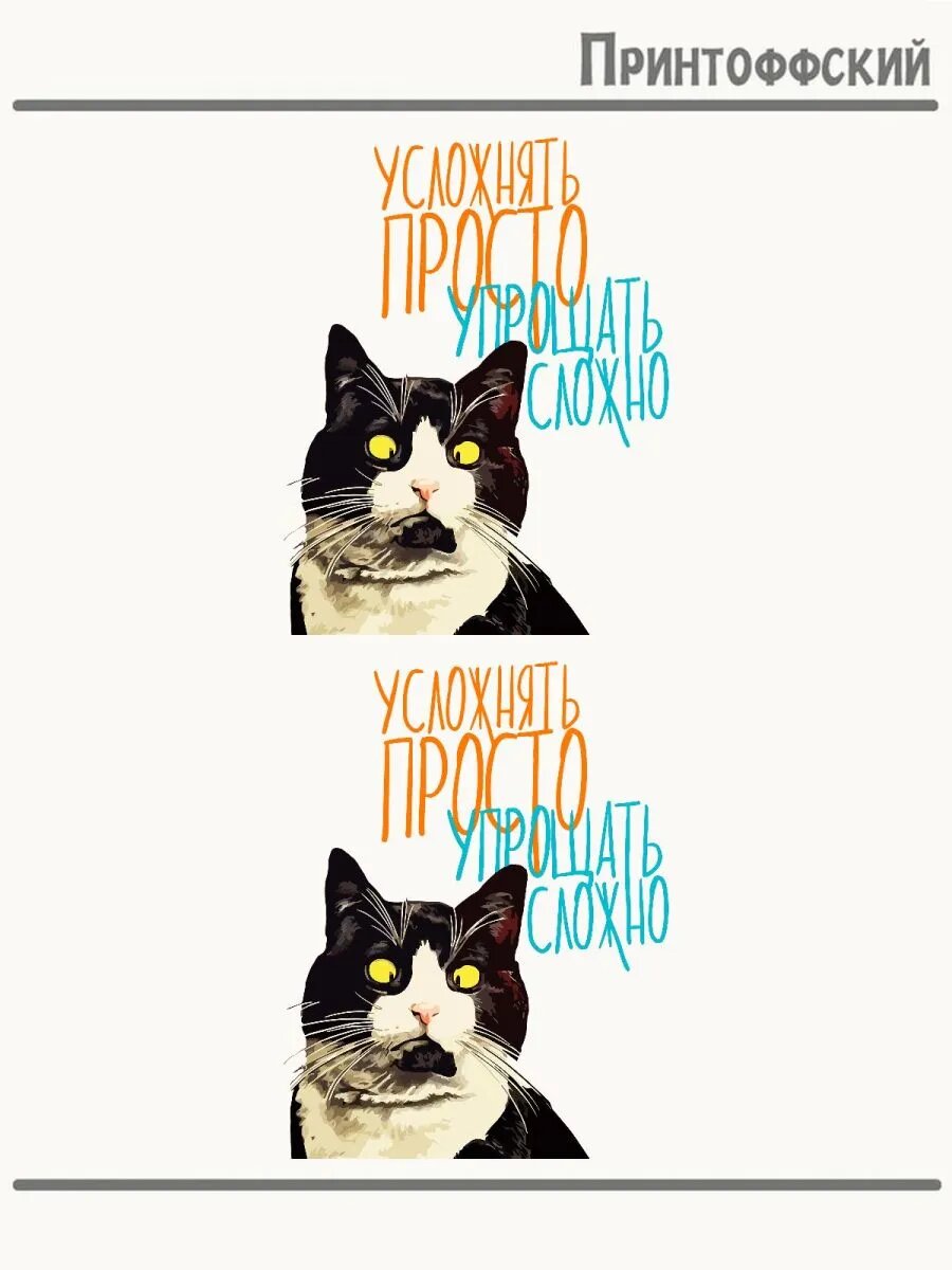 2-е (Две) Термонаклейки мем кот