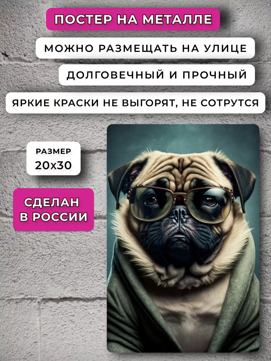 Постер Мопс — фото 1