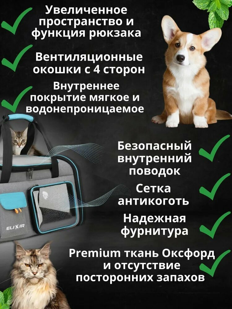 Переноска — фото 1
