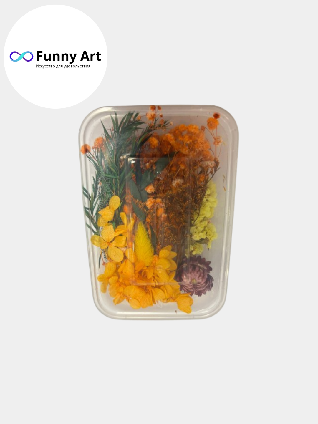 Сухоцветы натуральные для декора и творчества, декоративные цветы, для смолы