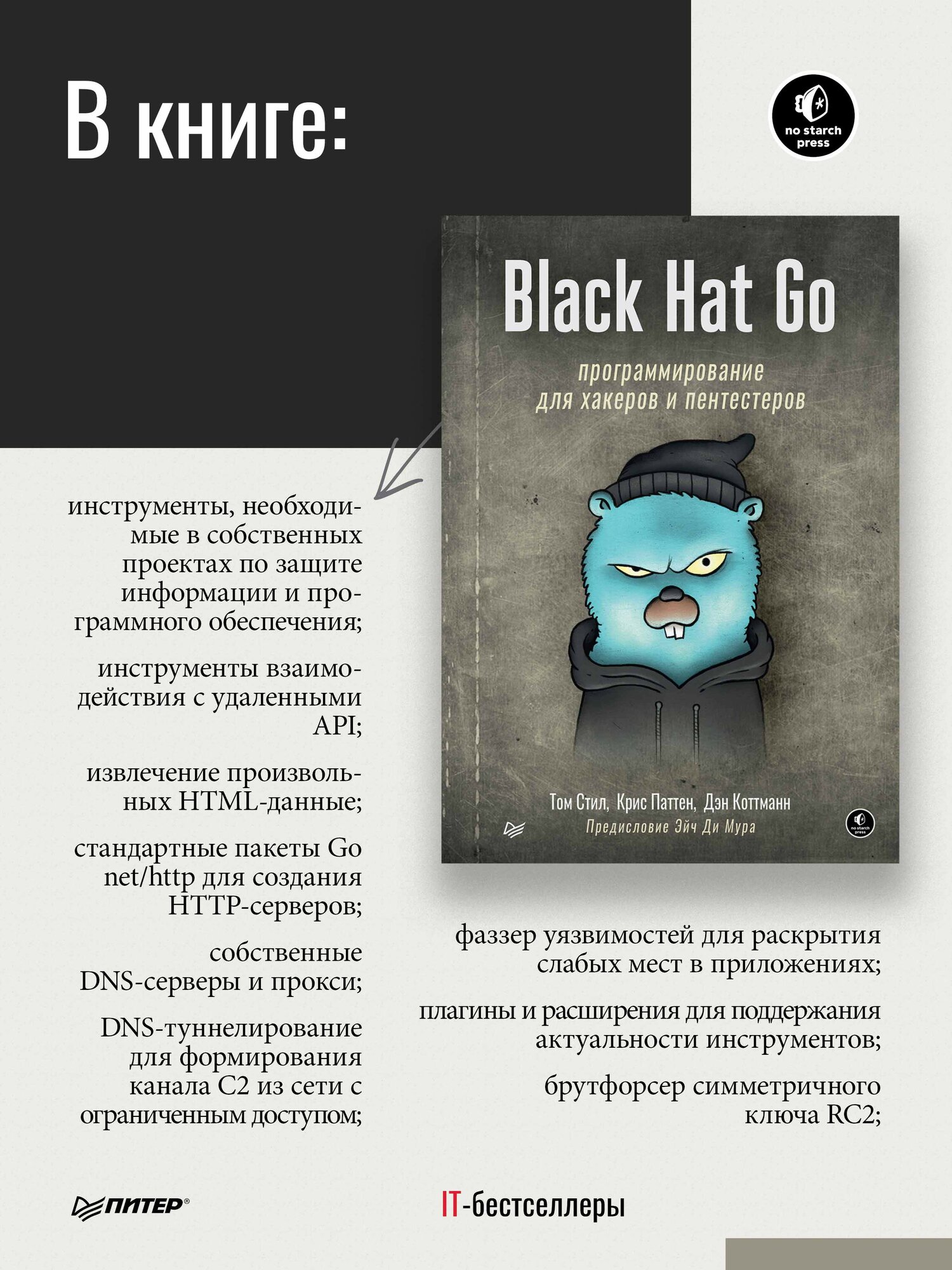 Black Hat Go: Программирование для хакеров и пентестеров / книга по кибербезопасности / информационная безопасность — фото 1