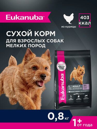 Изображение товара Сухой корм для собак Eukanuba Adult Small Breed для мелких пород , 0,8 кг