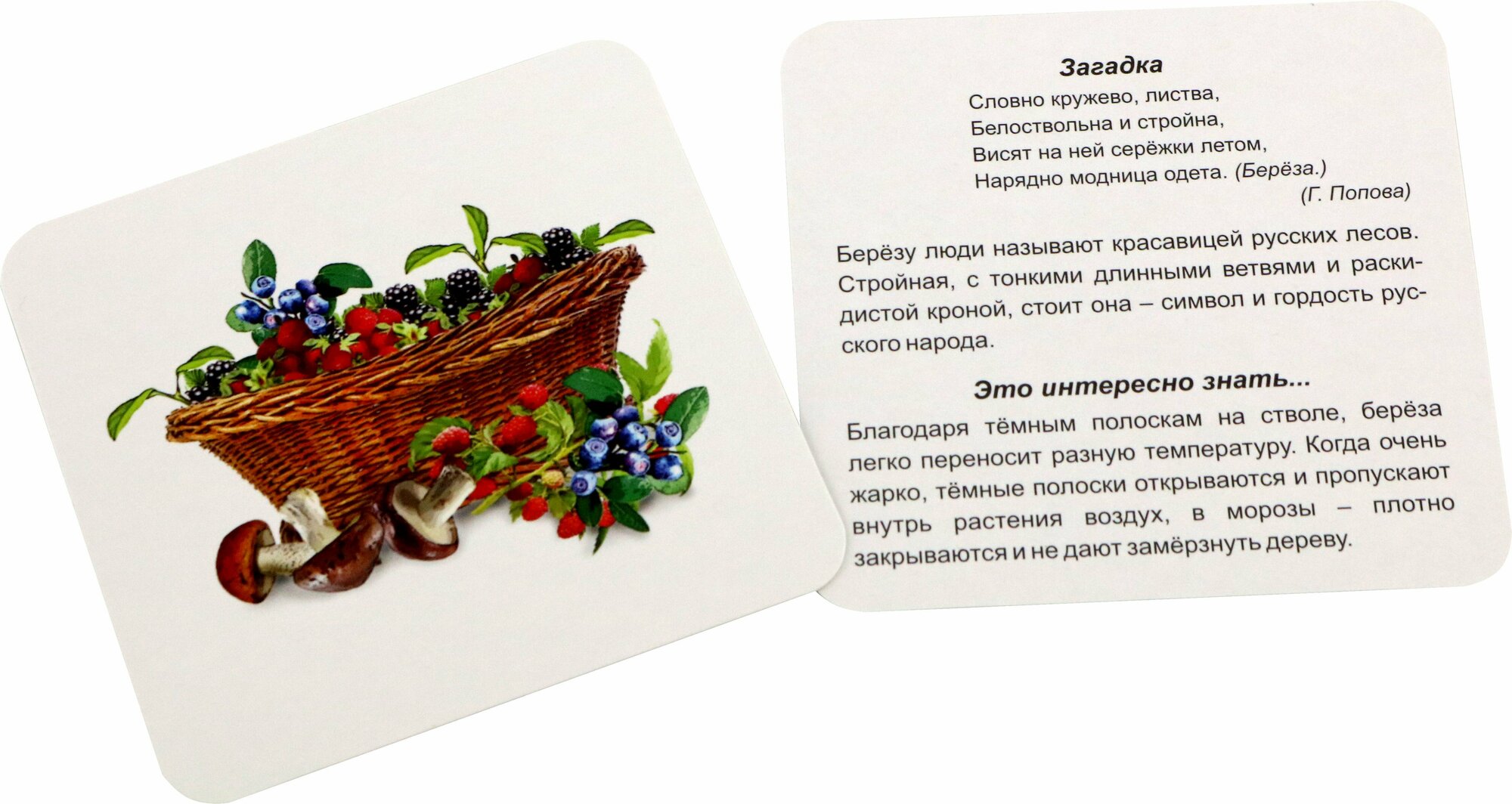 Времена года. Лето. 12 развивающих карточек. ФГОС ДО Учитель - фото №8