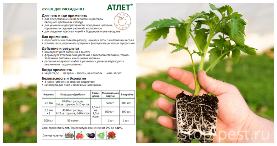 Регулятор роста растений Атлет, Средство от перерастания рассады ЗАС Атлет 1,5 мл - фотография № 2