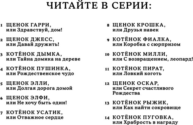 Щенок Гарри, или Здравствуй, дом! - фото №18