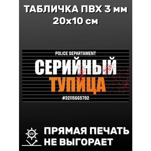 Табличка информационная Серийный тупица 20х10 см