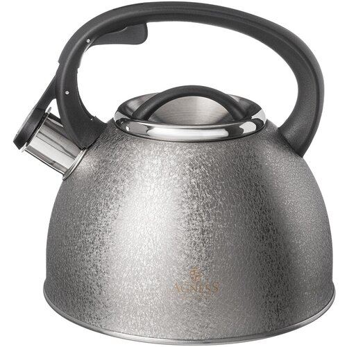 Чайник для плиты со свистком индукция нержавеющая сталь, 2,5л Agness