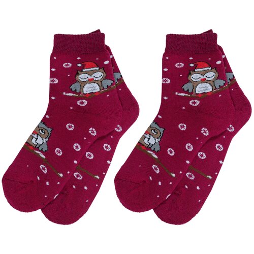 фото Комплект из 2 пар детских махровых носков красная ветка с-618, бордовые, размер 14-16