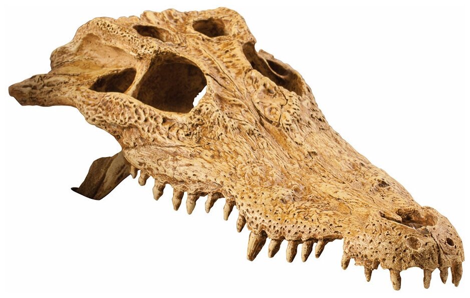 Декорация для террариума Hagen Exo-Terra Crocodile Skull