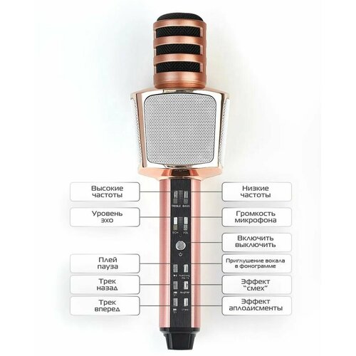 Микрофон (Bluetooth, динамики, USB) SDRD SD-17