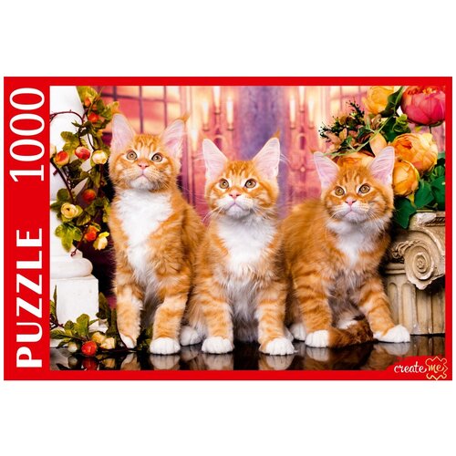 Пазл Рыжий кот Рыжие мейн-куны, ШТП1000-1475, 1000 дет., 68.5х48.1х4.4 см, красный пазл рыжий кот 1000 деталей рыжие котята мейн кун