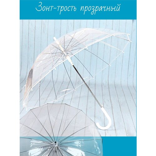 Зонт-трость Kamukamu, полуавтомат, купол 100 см, 14 спиц, система «антиветер», для женщин, белый, бесцветный