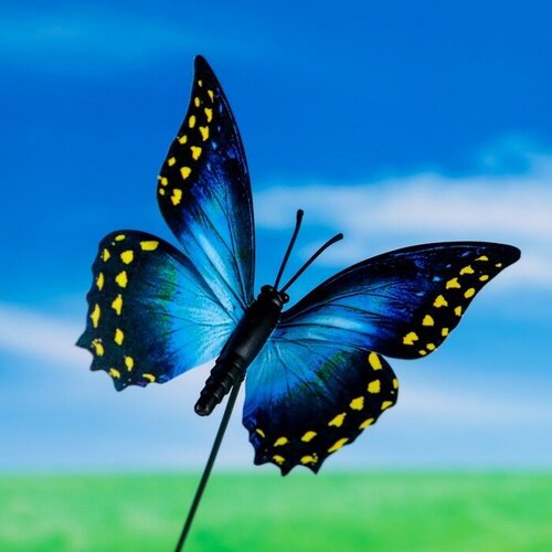 Штекер Бабочка 7х8см, длина 25см, микс(10 шт.) кашпо ведерко бабочки цветы микс 7х8см