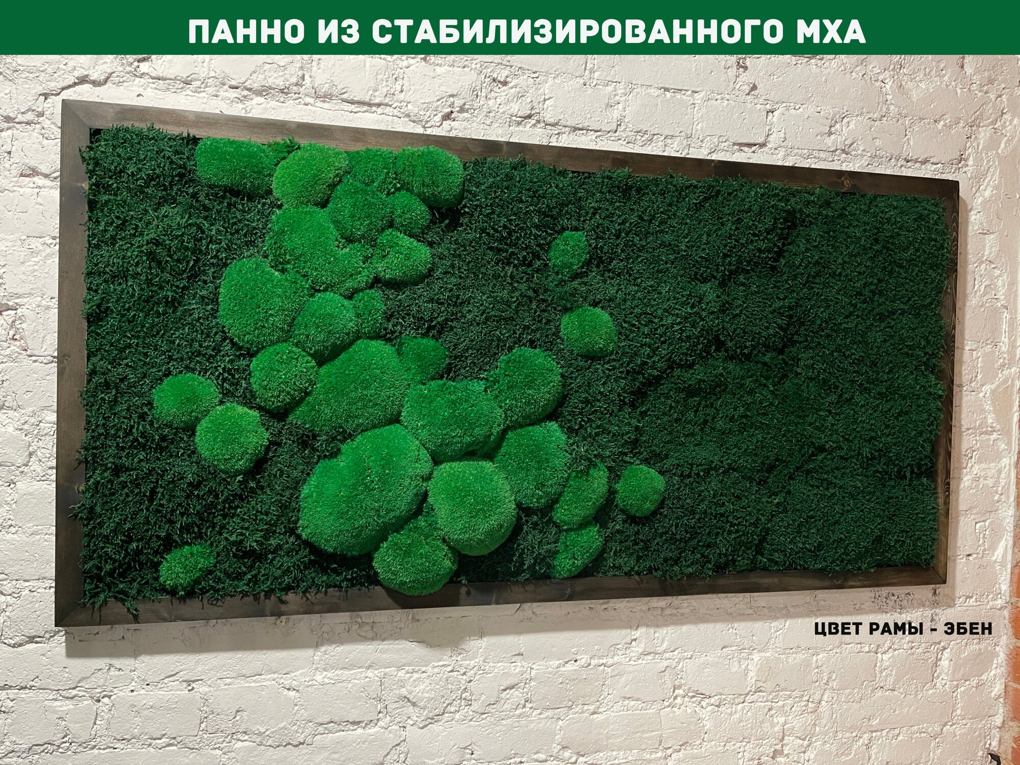 Панно из стабилизированно мха GardenGo в рамке цвета эбен, 50х100 см, цвет мха зеленый