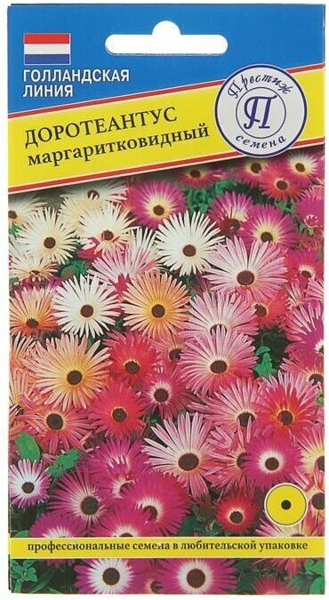 Семена цветов Доротеантус маргаритковый Смесь О 01 г / по 5 уп