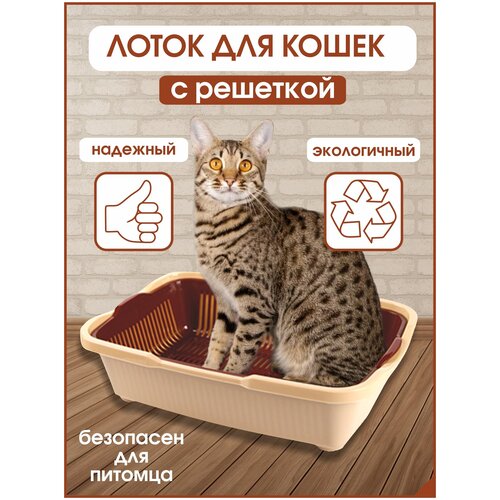 Лоток для кошек средний размер с сеткой , Серый, DD Style, 42х32х11 см