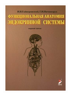 Функциональная анатомия эндокринной системы. Учебное пособие