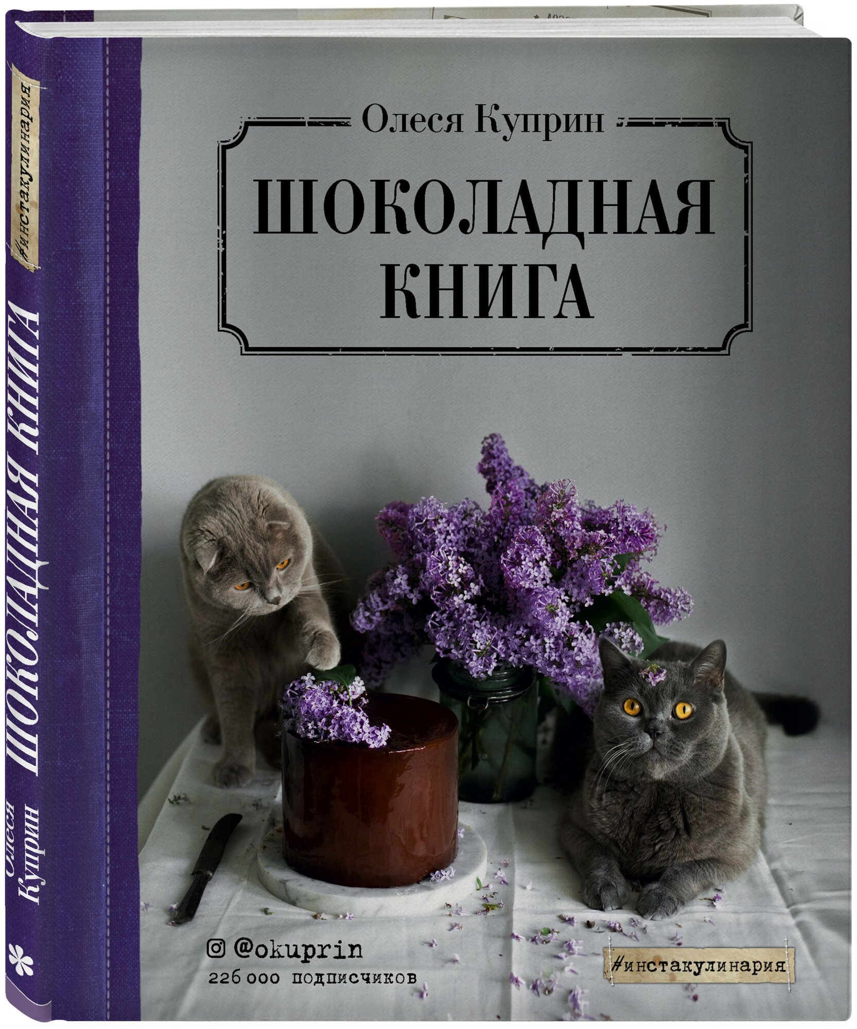 Шоколадная книга (Олеся Куприн) - фото №1