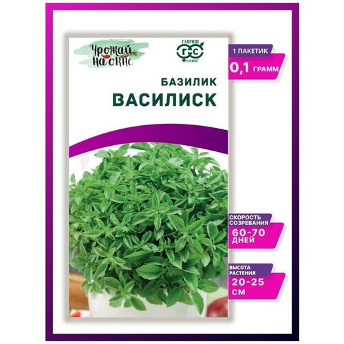 Семена Базилик Василиск 0,1г Ранн (Гавриш) - 1 уп; Урожай на окне; семена базилика для балкона, для подоконника; базилик балконный, комнатный базилик мини семена