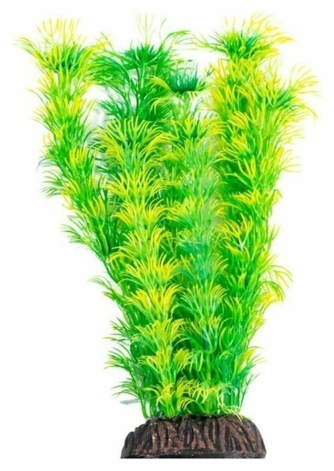 Растение 1998 "Амбулия" жёлто-зеленая, 200мм, (пакет)