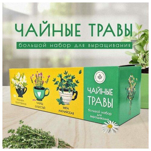 Plant Republic Набор для выращивания растений Чайные травы pr-021