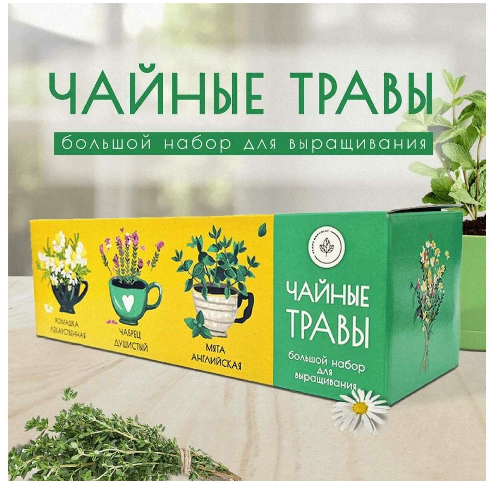 Набор для выращивания растений Plant Republic Чайные травы pr-021