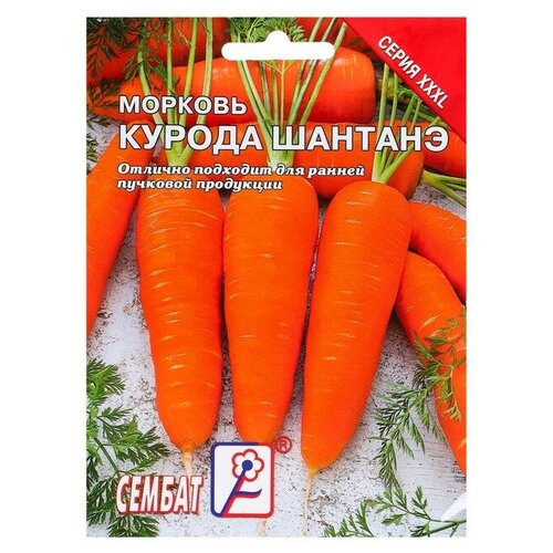 Семена ХХХL Морковь Курода Шантанэ, 10 г