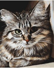 Картина по номерам Любимый котик 40х50 см Art Hobby Home
