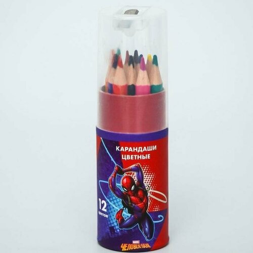 Карандаши цветные с точилкой в тубусе мини, 12 цветов, Супергерой, паук 1 упак.