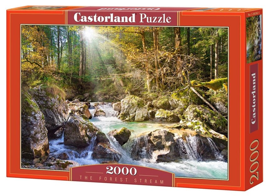 Пазл Castorland The forest stream (C-200382), 2000 дет., 69х92х5 см, разноцветный