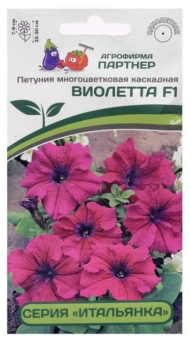 Семена цветов Петуния "Виолетта", F1, каскадная, фиолетовая, 5 шт 5481657