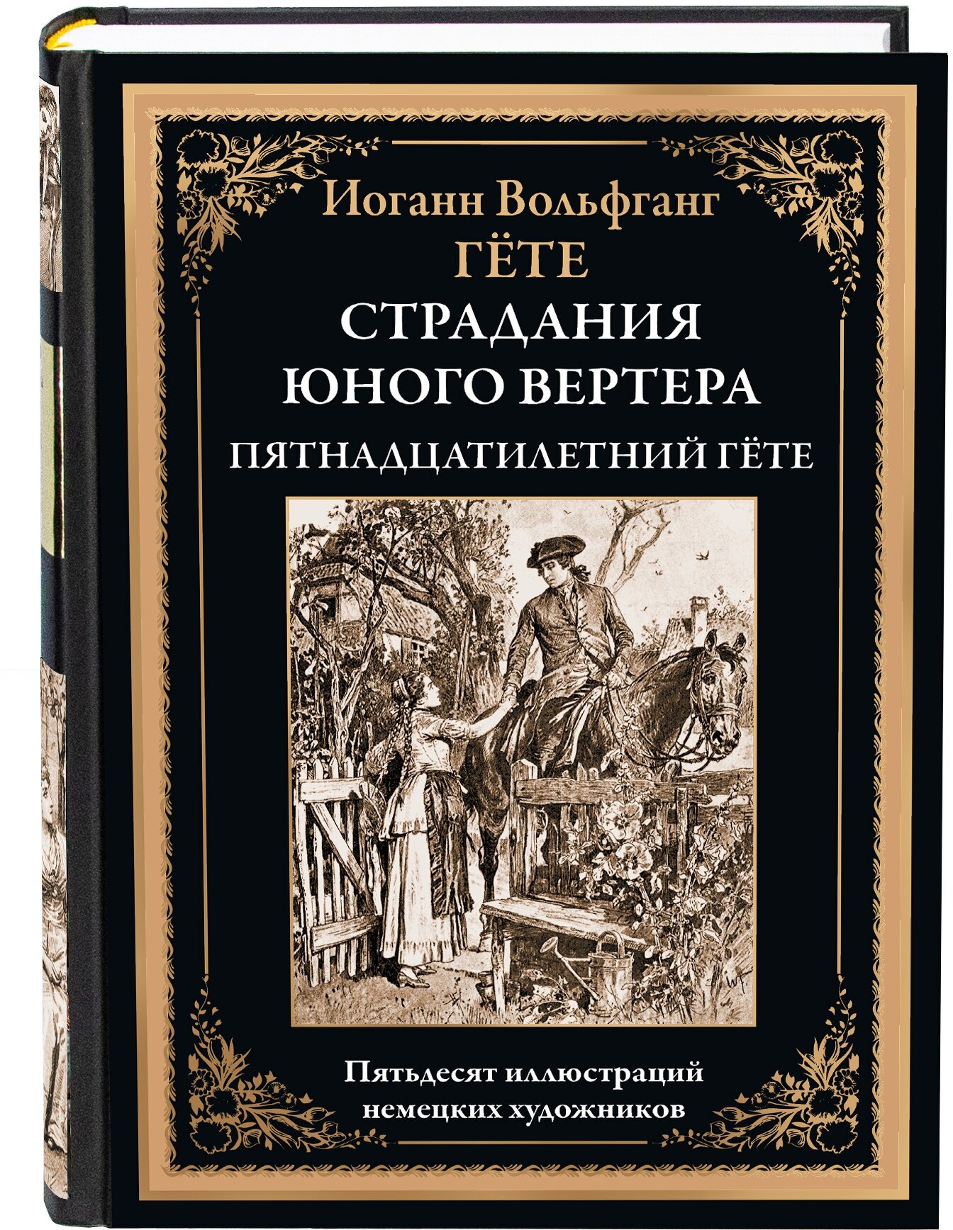 Страдания юного вертера. Пятнадцатилетний Гёте БМЛ. Гете И. В.