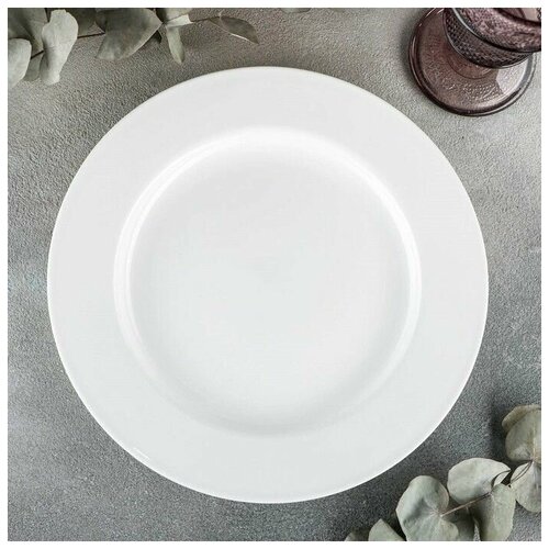 Тарелка фарфоровая обеденная Stella Pro, d-25,5 см, цвет белый, 1 шт.