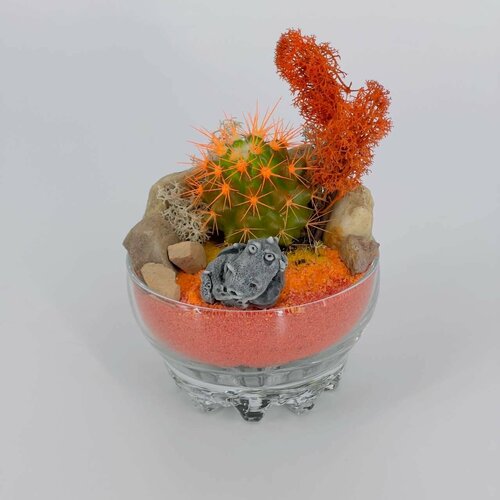 Флорариум кактус с фигуркой бегемотик 3090₽