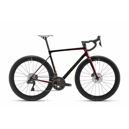 Велосипед Pardus Robin EVO Disc Utegra Di2 (2023) Черный-Синий S