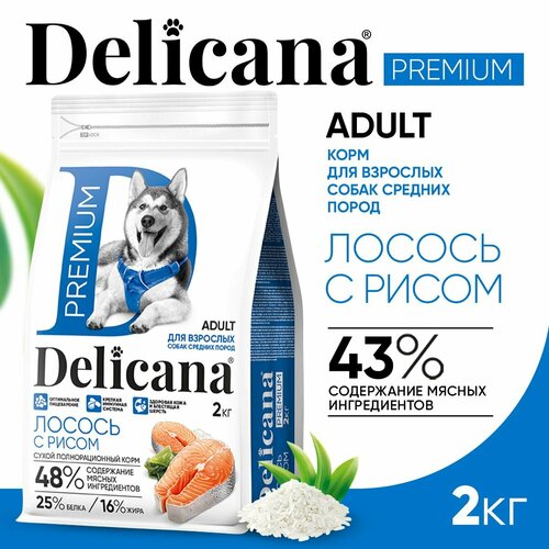 DELICANA Корм сухой для собак средних пород Лосось с рисом 2 кг
