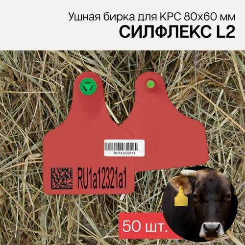Изображение товара Бирки ушные для КРС с маркировкой рсхн+стикер 50 шт. Силфлекс L2 80х60 мм красные